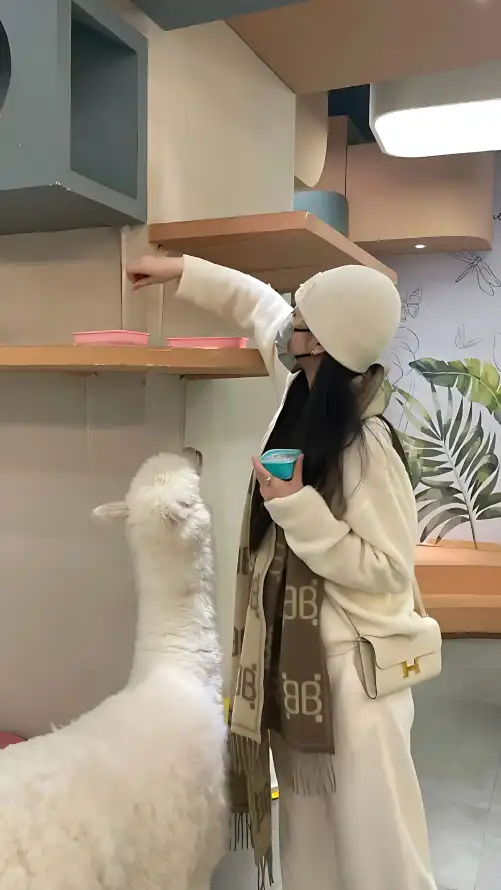 天堂天堂在线亚洲精品99福利亚洲国产站如何选？资深用户真实体验 - 天堂在线亚洲色久久国产影院一级-天天少妇二区三区影视免费无码
